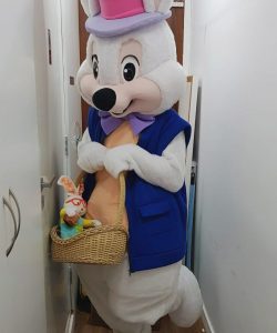 COELHO 4